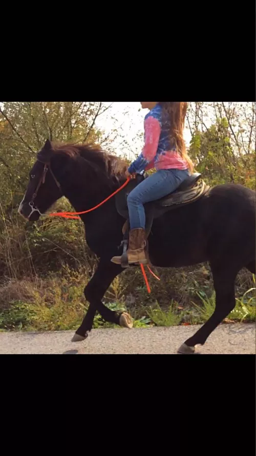 Horse rider on onlyfans. Link in comments. by Katnip195