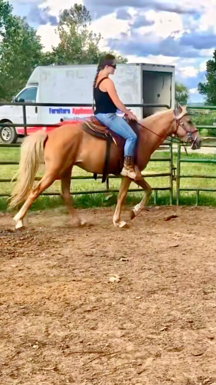 Horse rider on onlyfans. Link in comments. posted by Katnip195