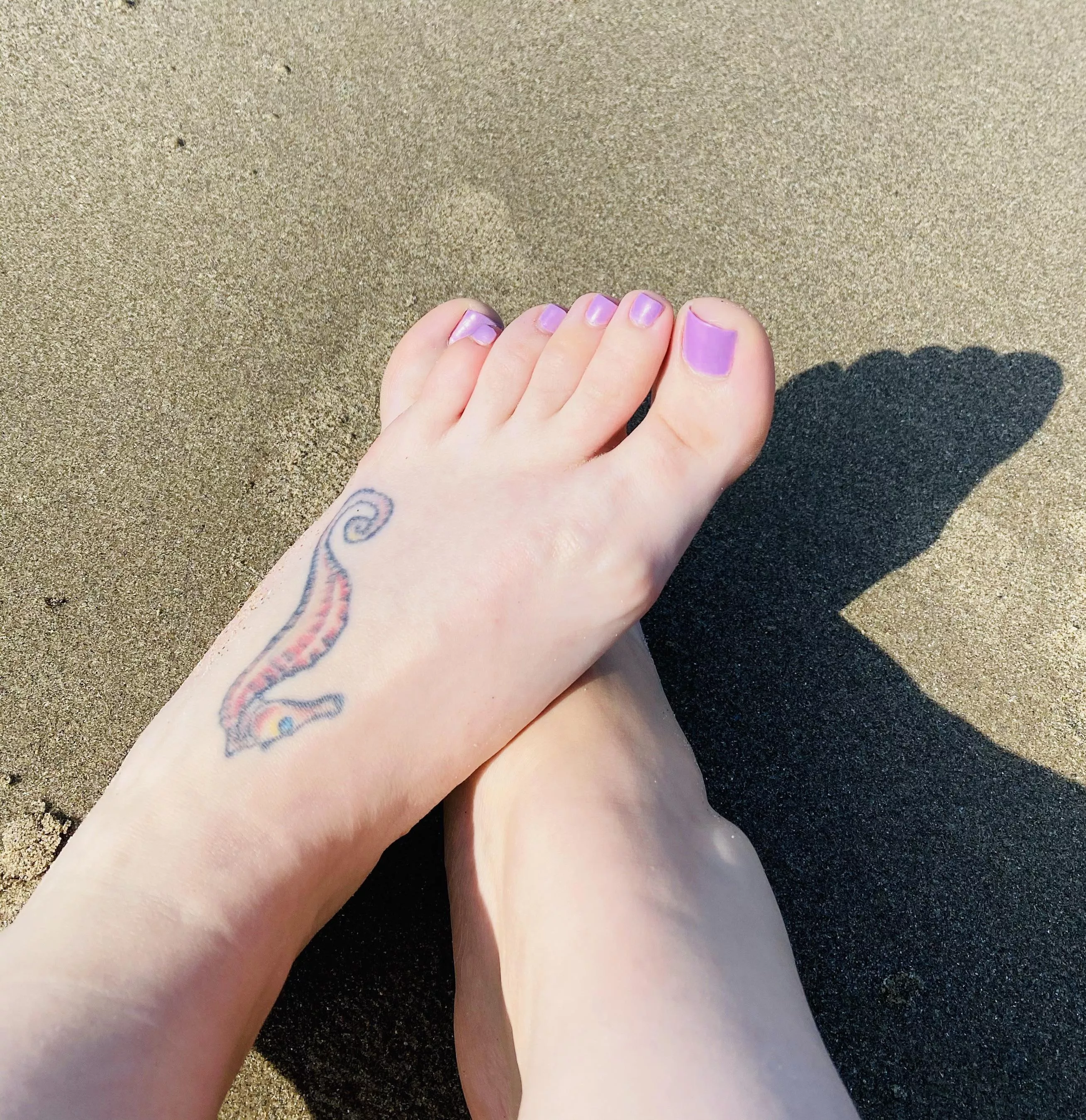 Hot bolnde ejnoys a penis on her knees. posted by farmlandassorted