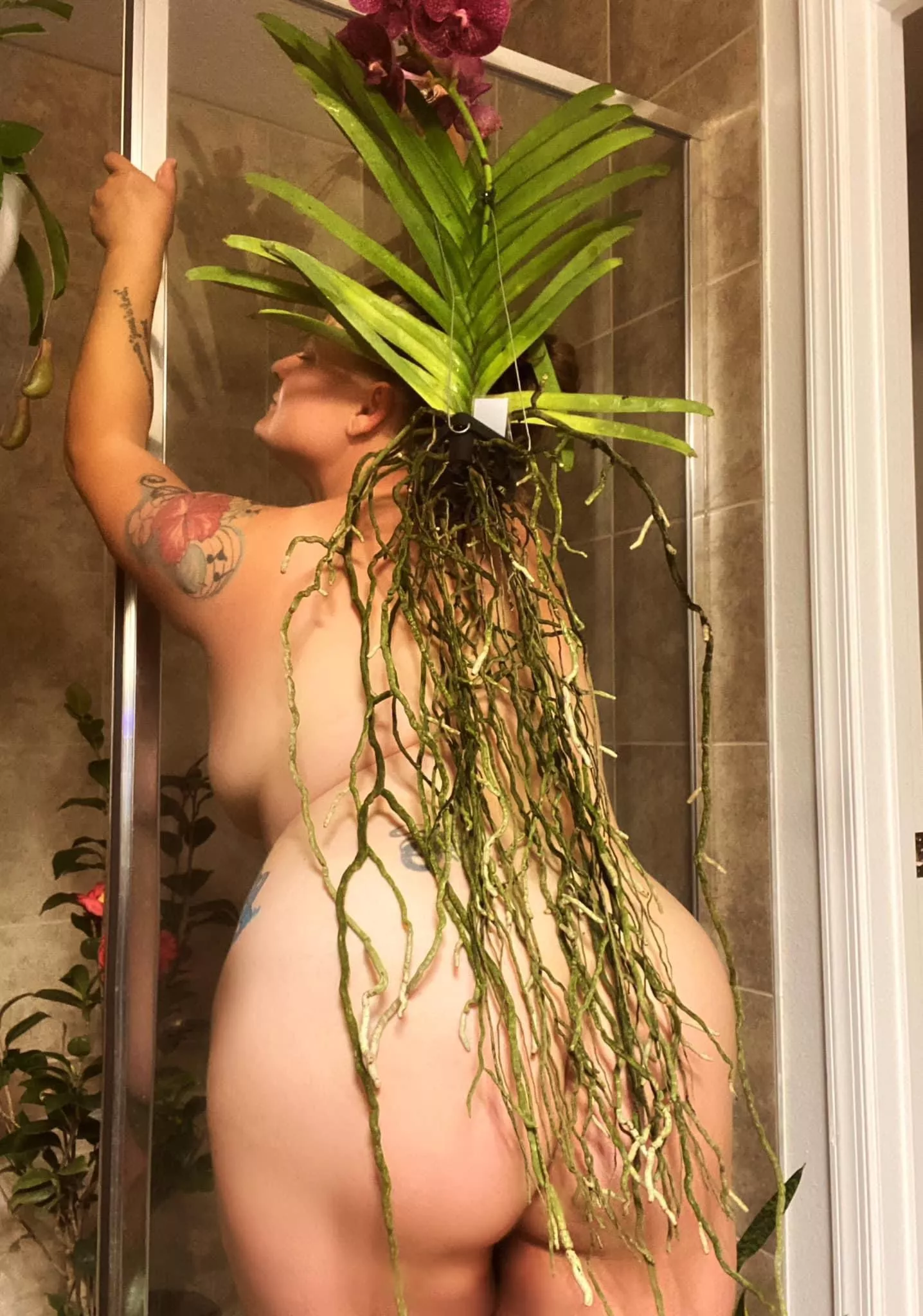 How about that vanda orchid posted by Amelia_jones2087