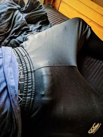 How am I doing? posted by CheneyIVIania