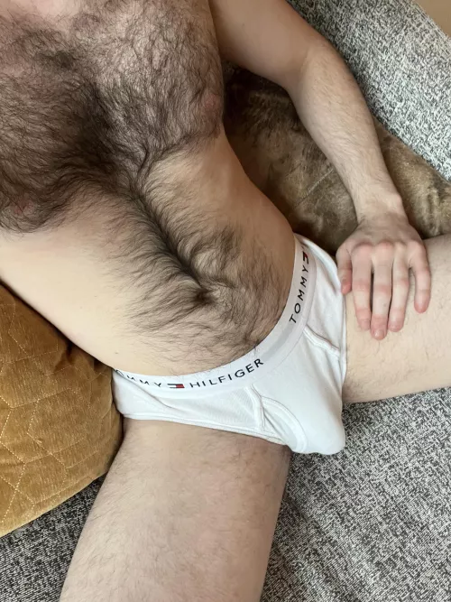 How are my Tommy’s? by goodguy1113