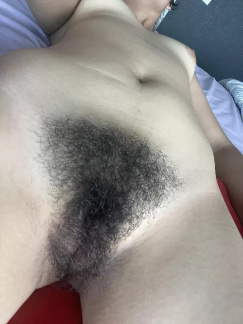 How are you using my bush? by Lane-703