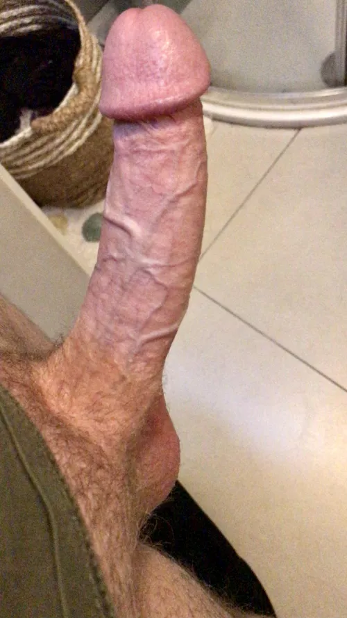 How do I look? by Necessary_Net_6000