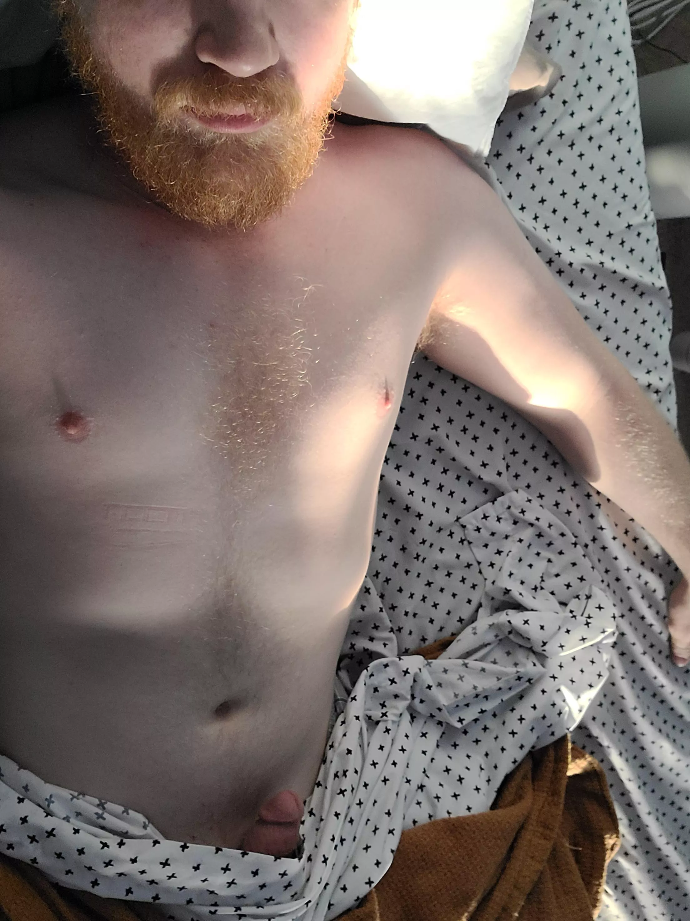 how do I look in the morning sunshine? posted by Hornblowerthrow