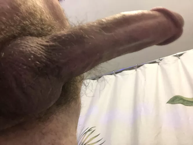 How do we feel about some hair? by zombiesurfpunk