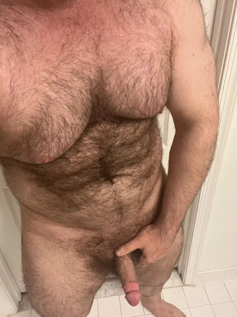How do you feel about hairy men? posted by jewbearboy