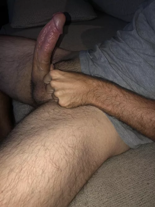 How do you like my curve? by sasq_htx