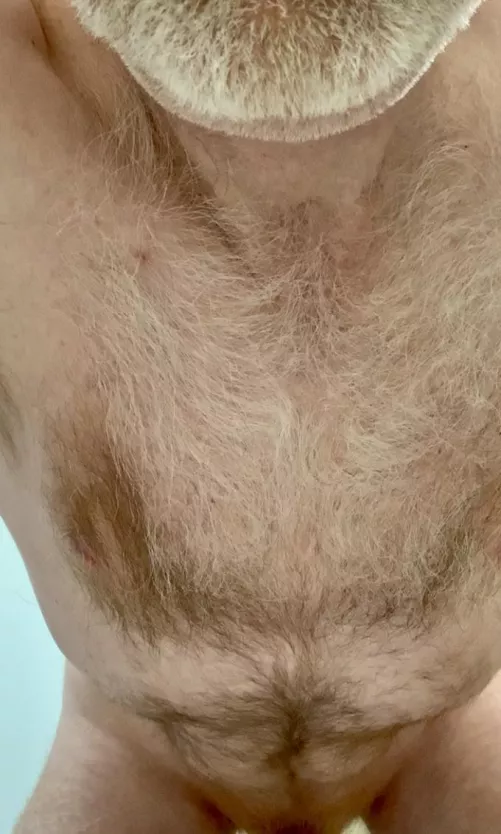 How is everyone doing on this fine Saturday? by ZelaznyFan68