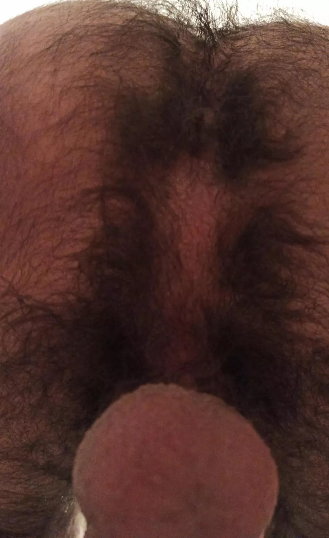 How is the view down there? posted by CanIPotMyBalls