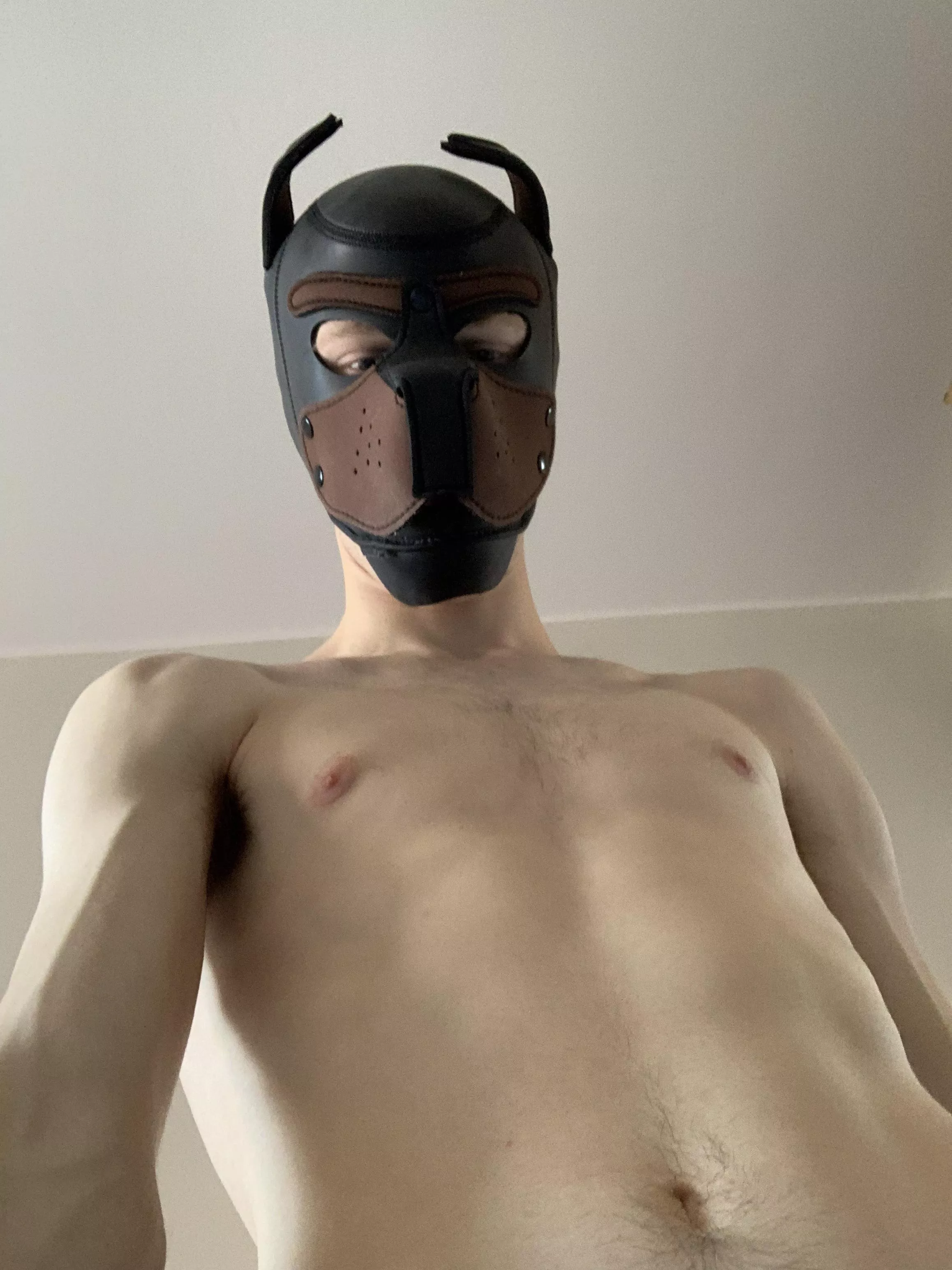 How is your Tuesday?😈😈 woof woof posted by benwolffans