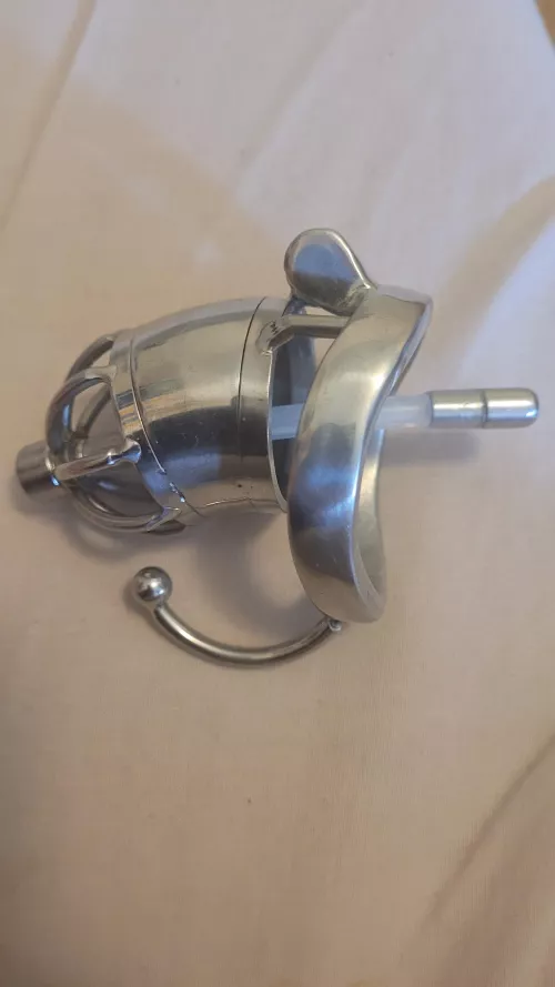 how long should i stay in locked in my new cage by Firsttimers92