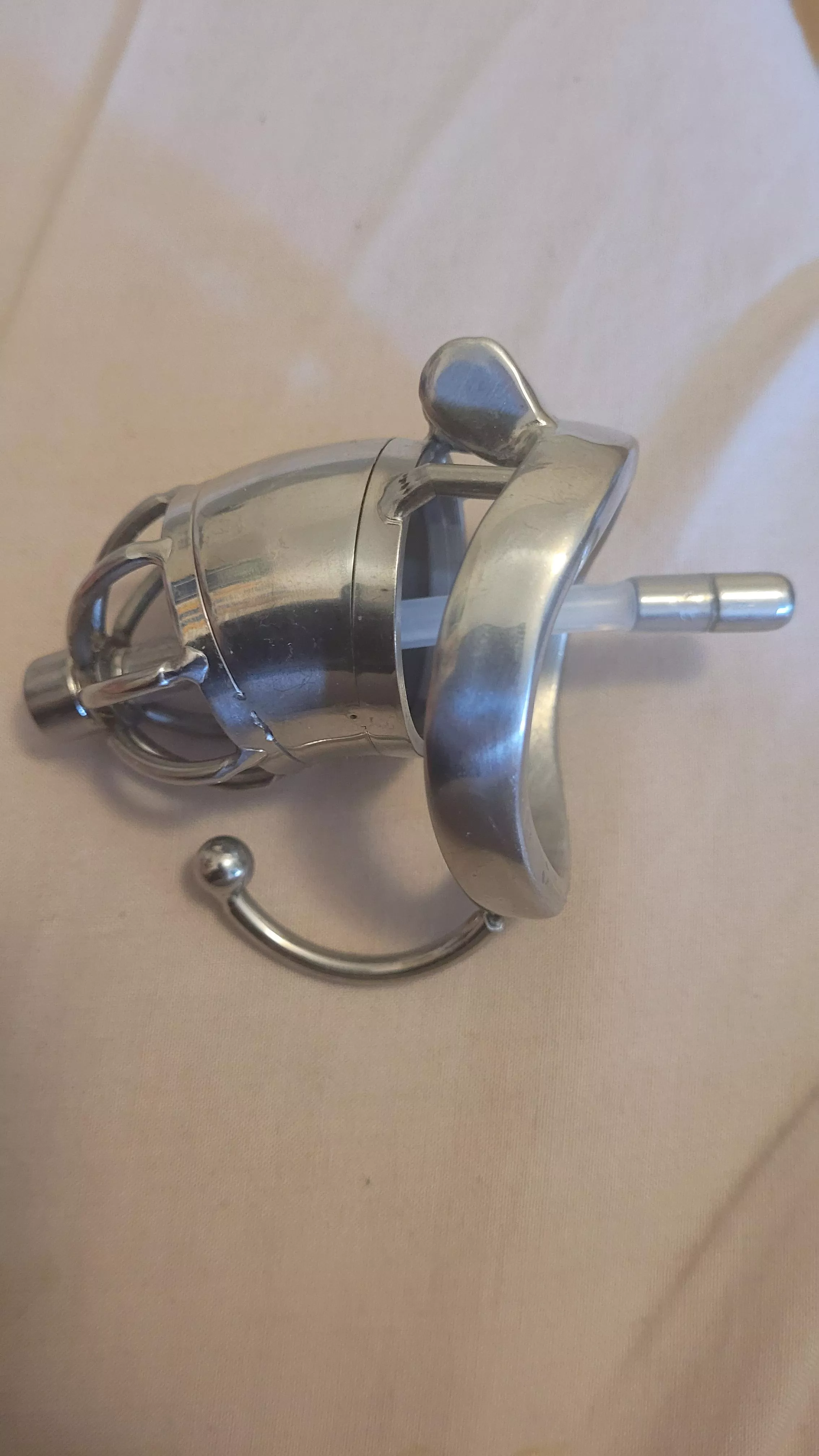 how long should i stay in locked in my new cage posted by Firsttimers92