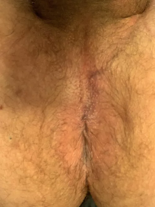 How many guys would breed me? by puppygarak