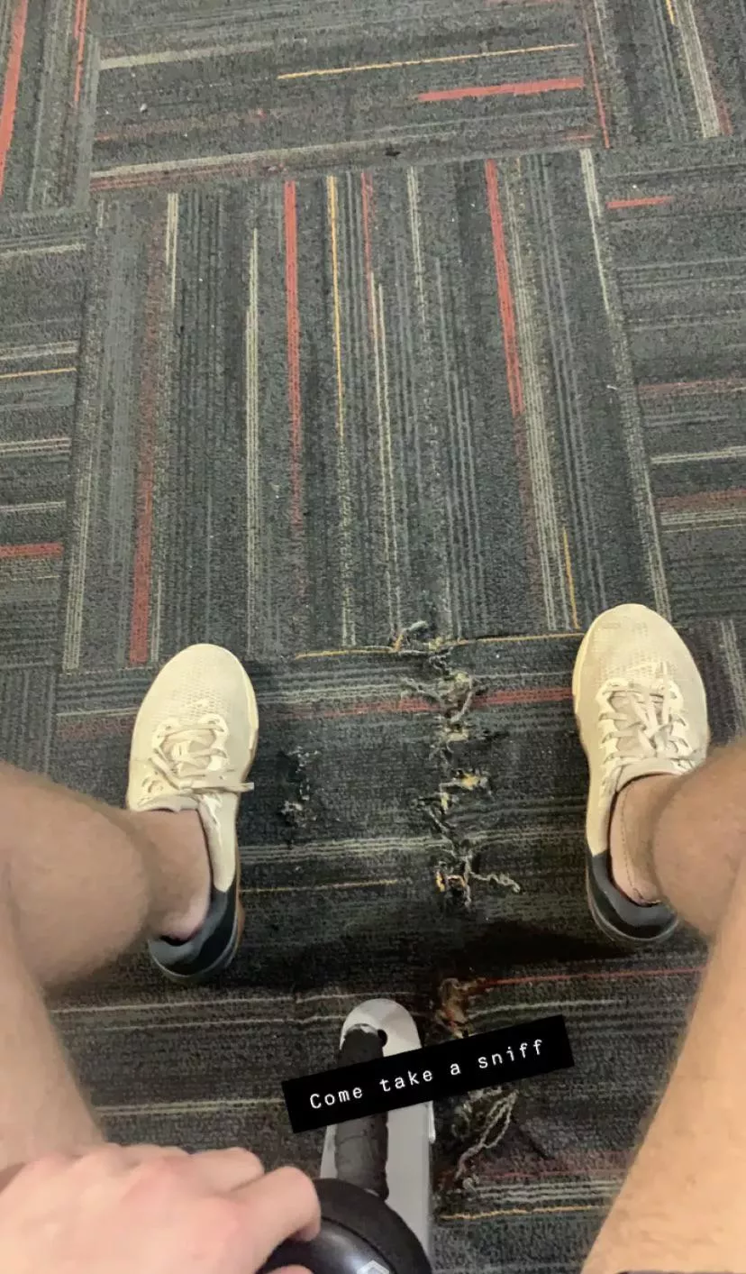 How many licks does it take to get the gym sweat off feet? 🤔 Let’s find out 😈 posted by amrhall8