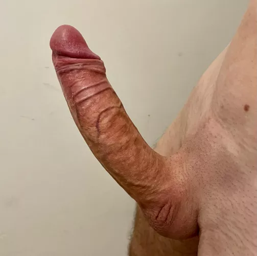 How much? by Mats248248