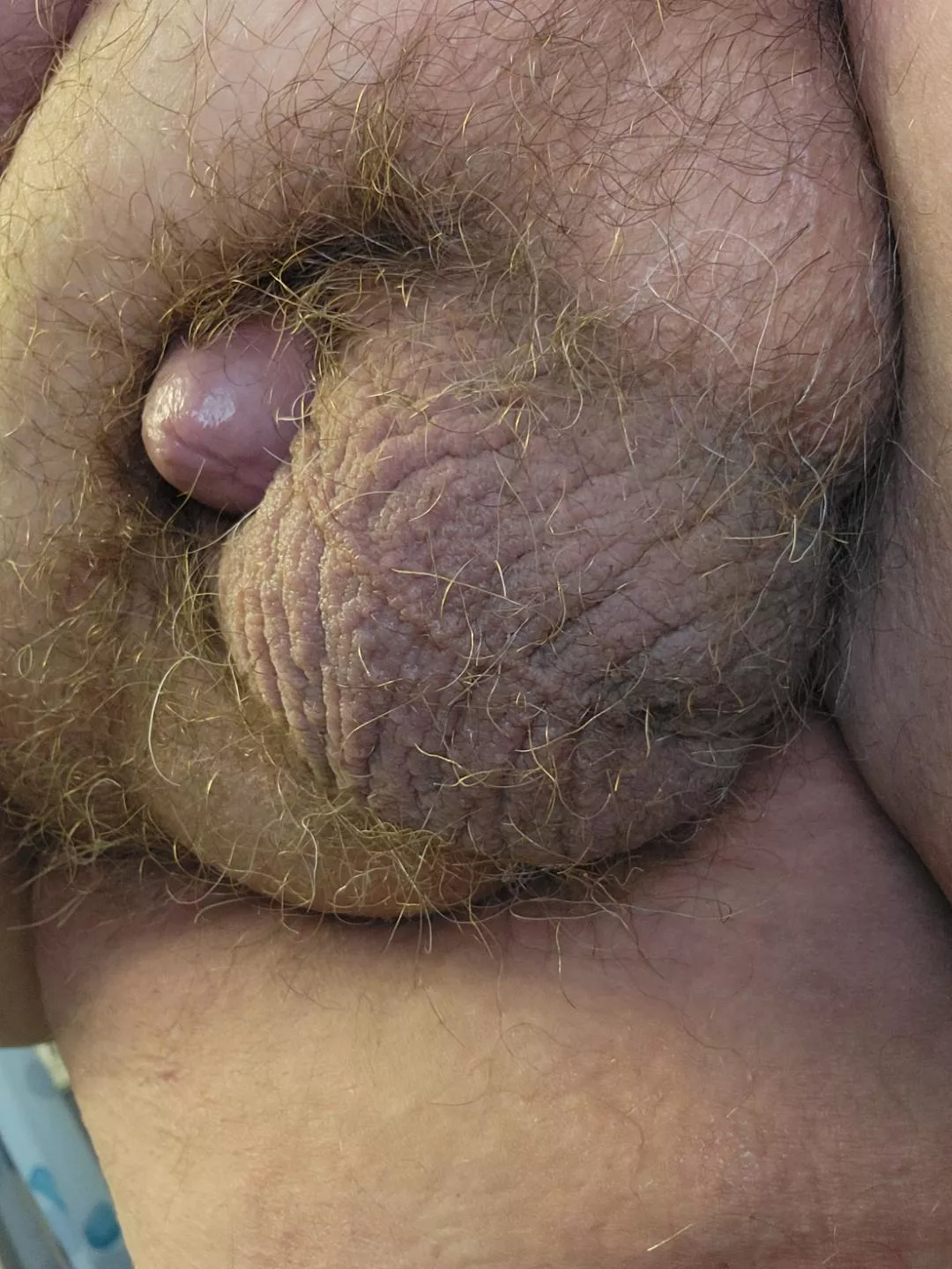 how my little guy looks most of the day [43] posted by Virtual-Smell