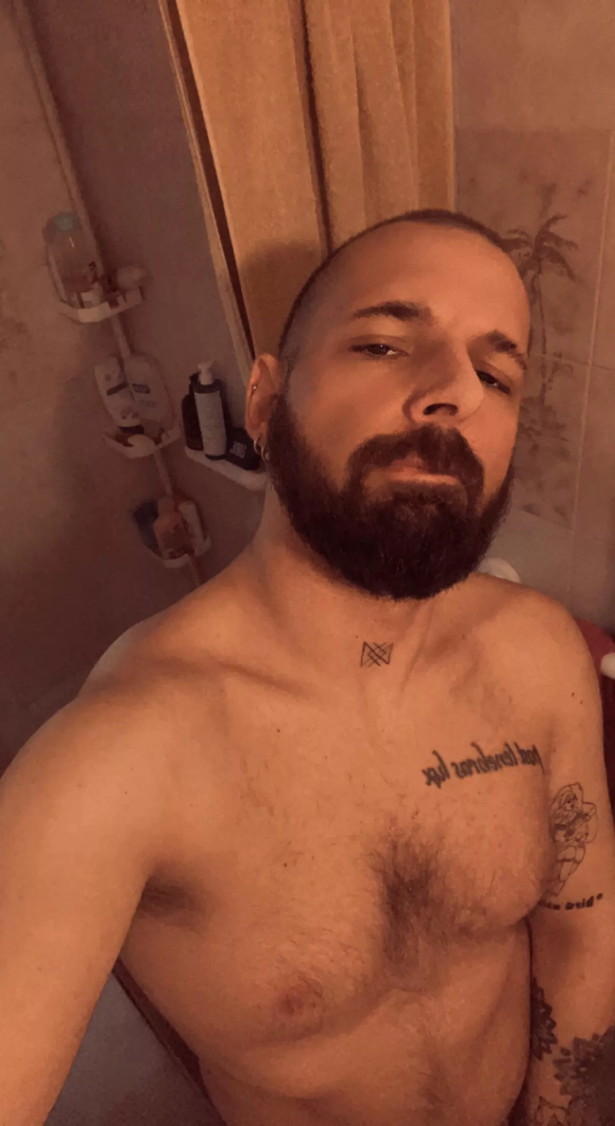 How the gaymers are doing today ? posted by french_beard