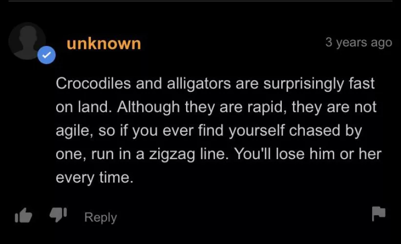 how to survive being chased by an alligator or croc by MattFrmWiiSprts