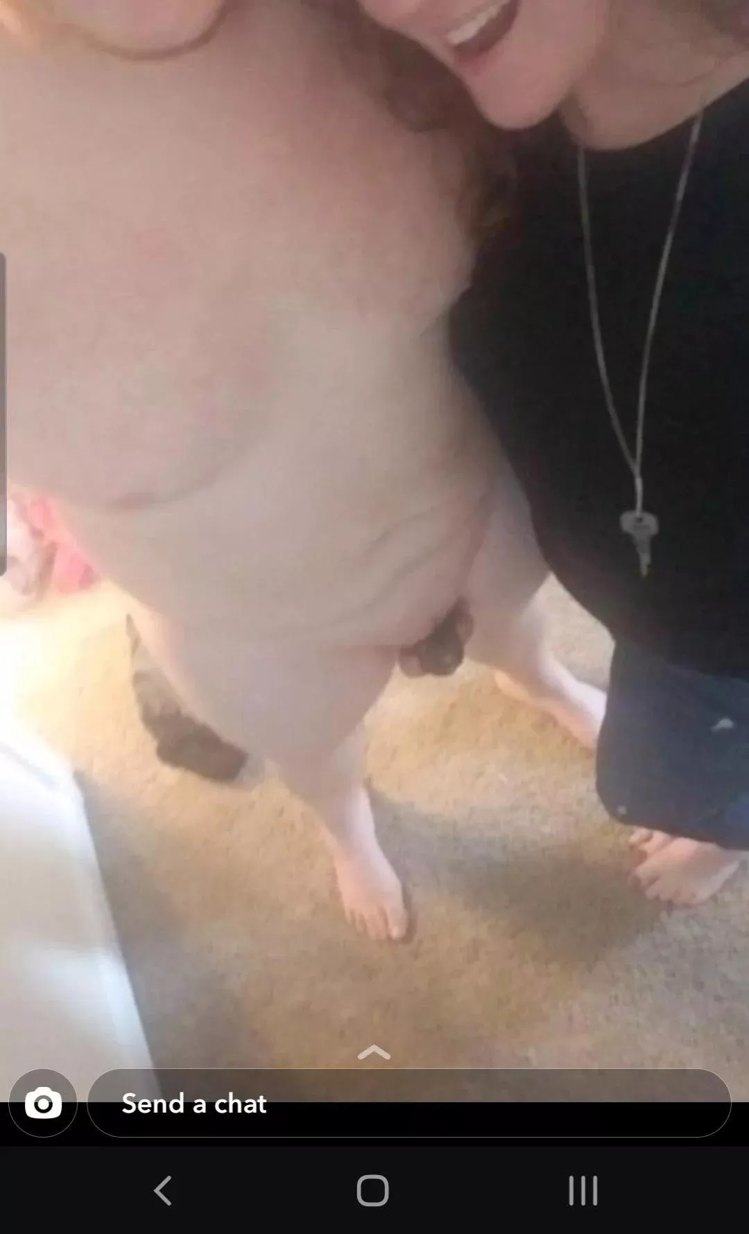 How we start our mornings posted by QuiteTheCuck