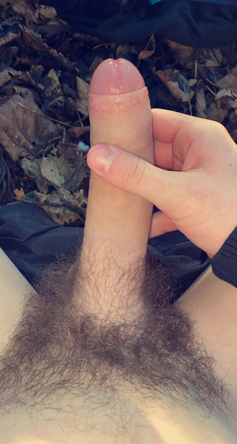 How would you feel seeing this on your daily walk posted by Myownstuffhaha