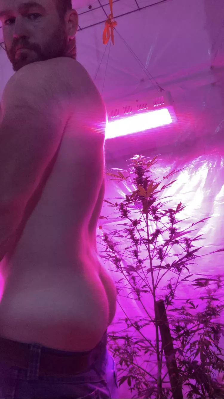 how yall doin posted by Real_Win6733