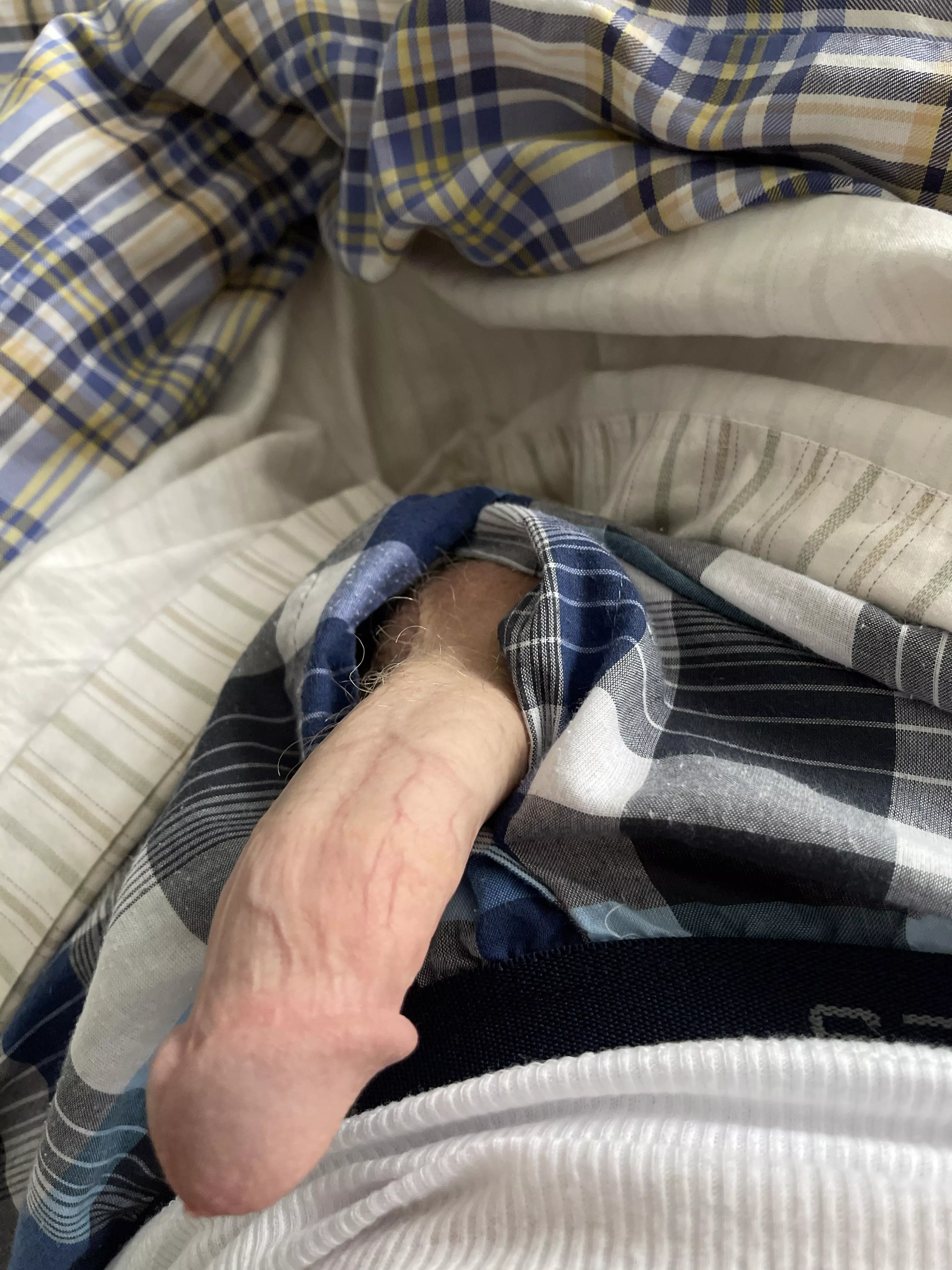 How’d you like my morning wood? posted by bn-0519