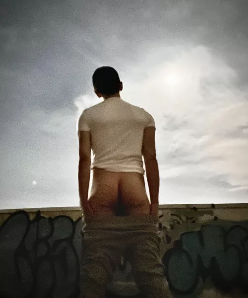 Howling at the moon by HomoPhonics