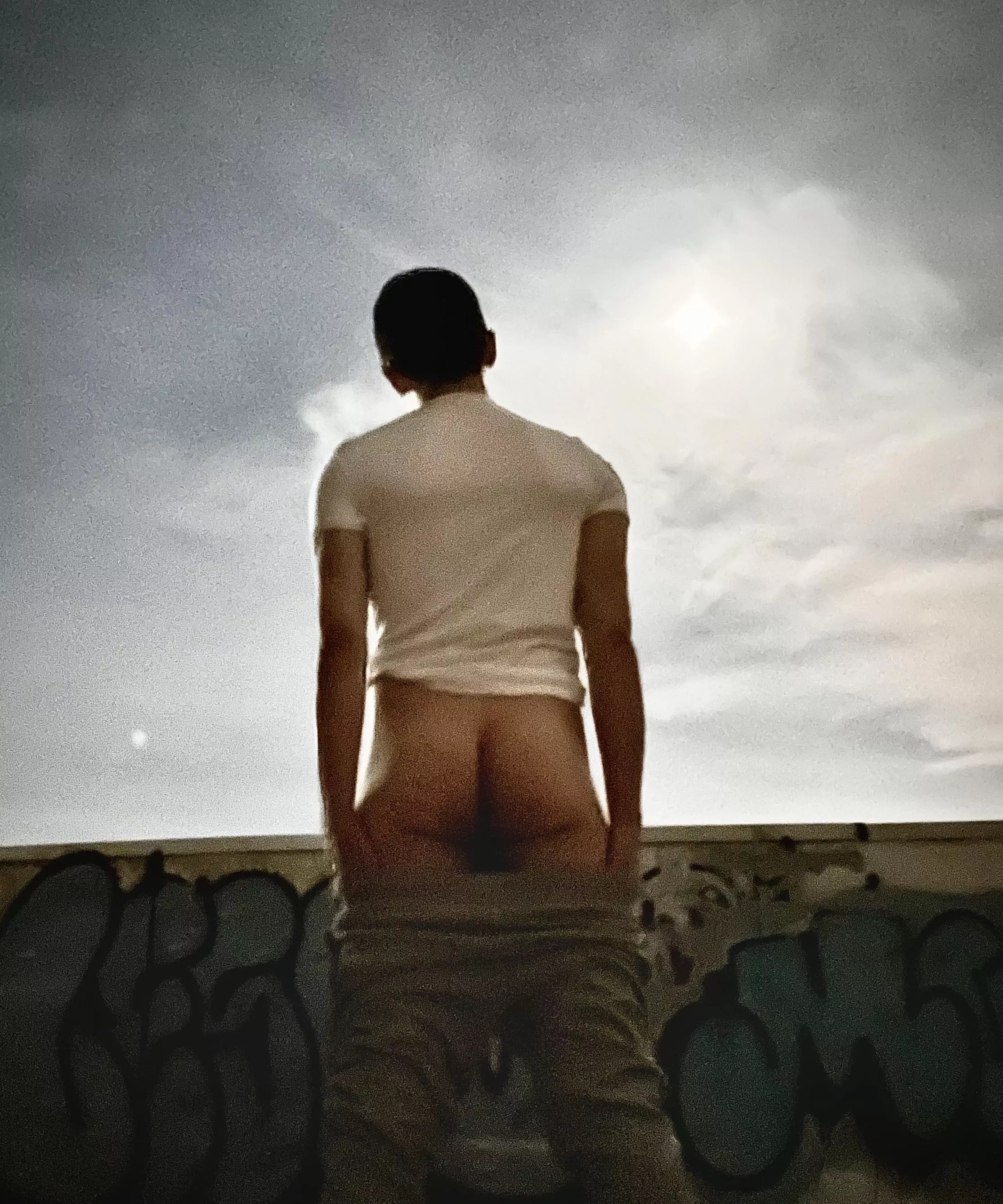 Howling at the moon posted by HomoPhonics