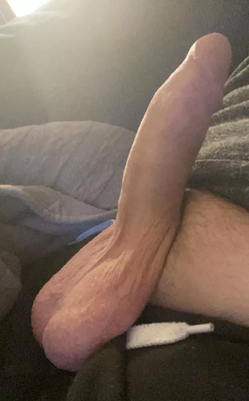 How’s my cock? by sexualhealing45