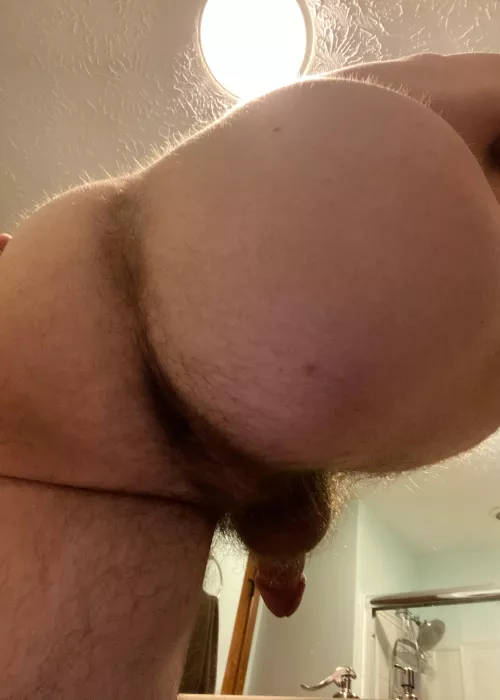 How’s my hairy ass? by thomsbriefs20