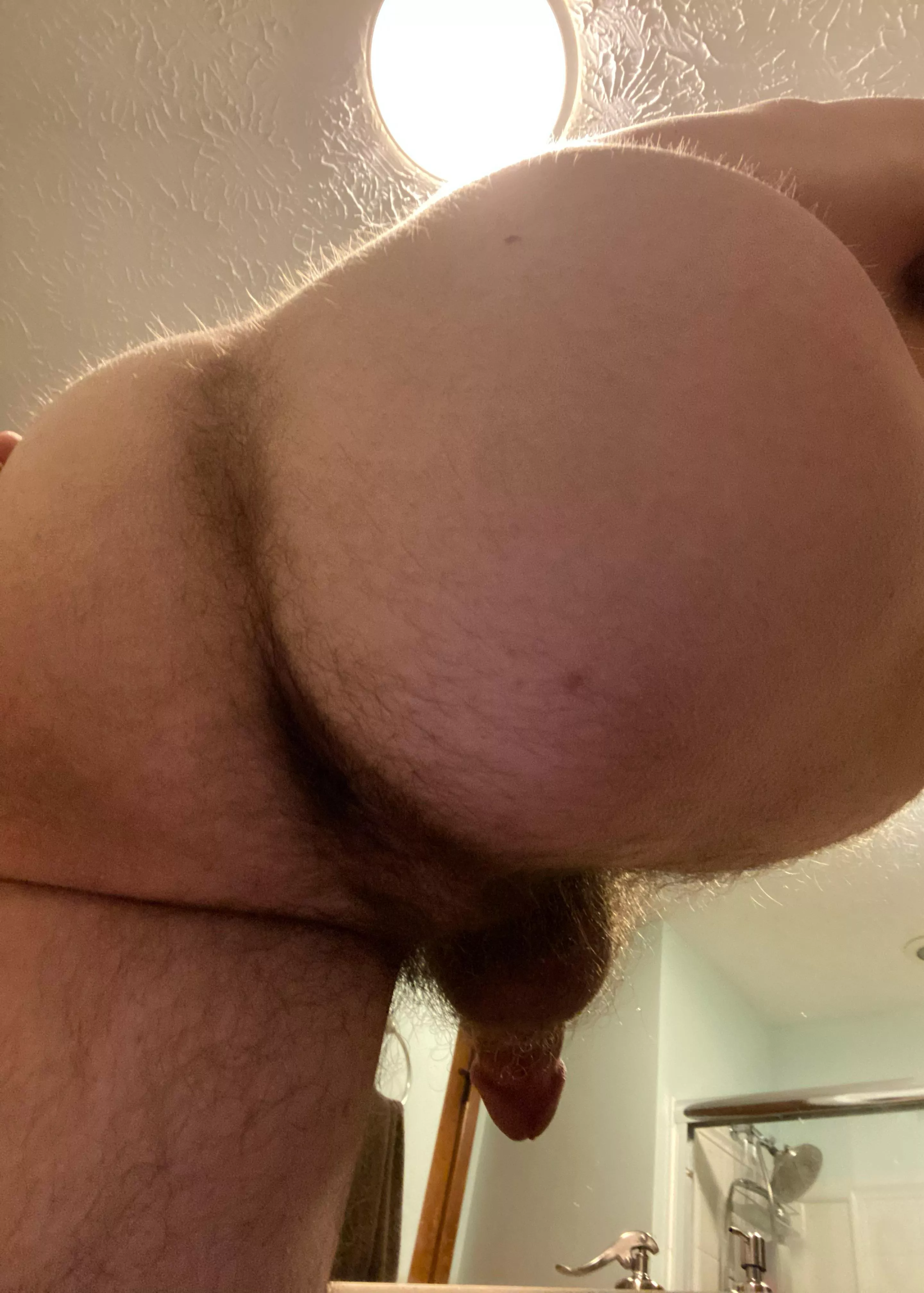 How’s my hairy ass? posted by thomsbriefs20