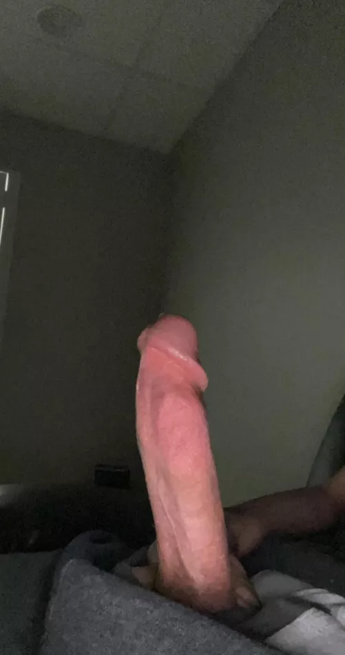 How’s my horny virgin cock? by remy5559