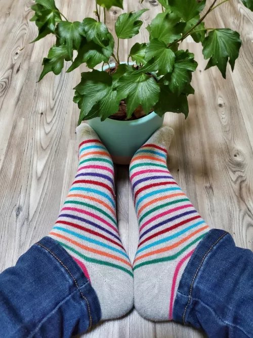 How's my plant doing!? by only_feetpc2022