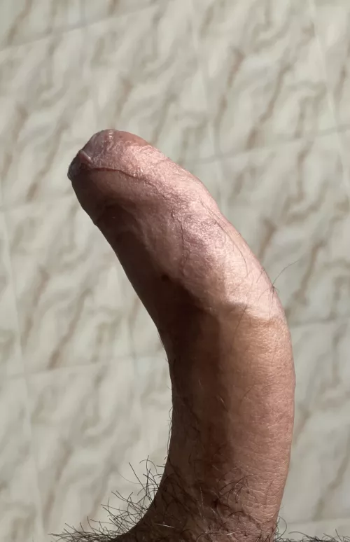 How’s the curve? by thenextdoorman