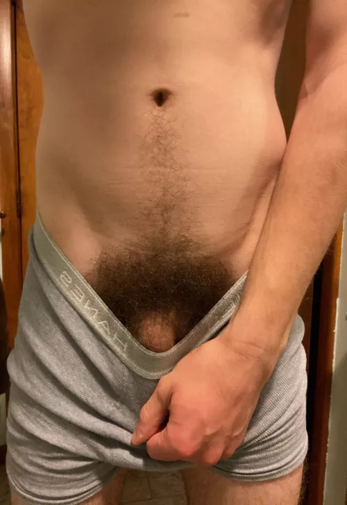 How’s this for pubes? Hope you all like it! by thomsbriefs5