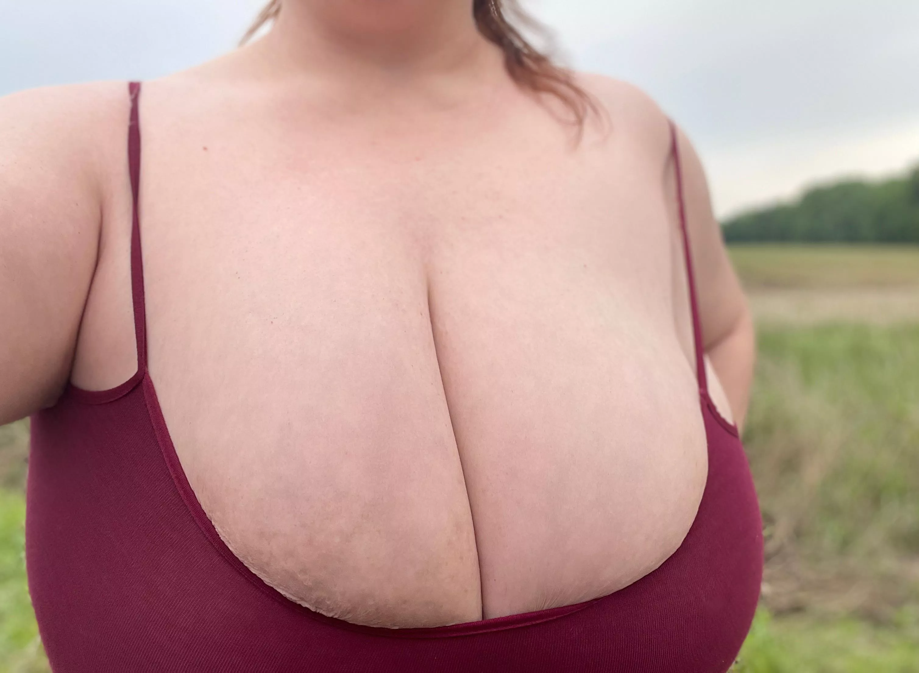 HUGE tracts of land! posted by Rileslit