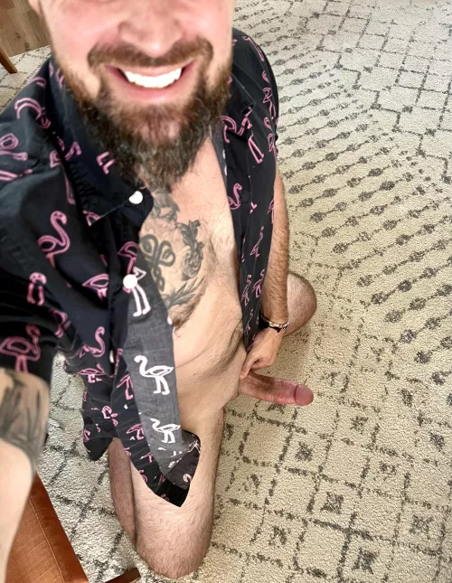 Hump day flamingos? Yes please. by SoutheastEggplant