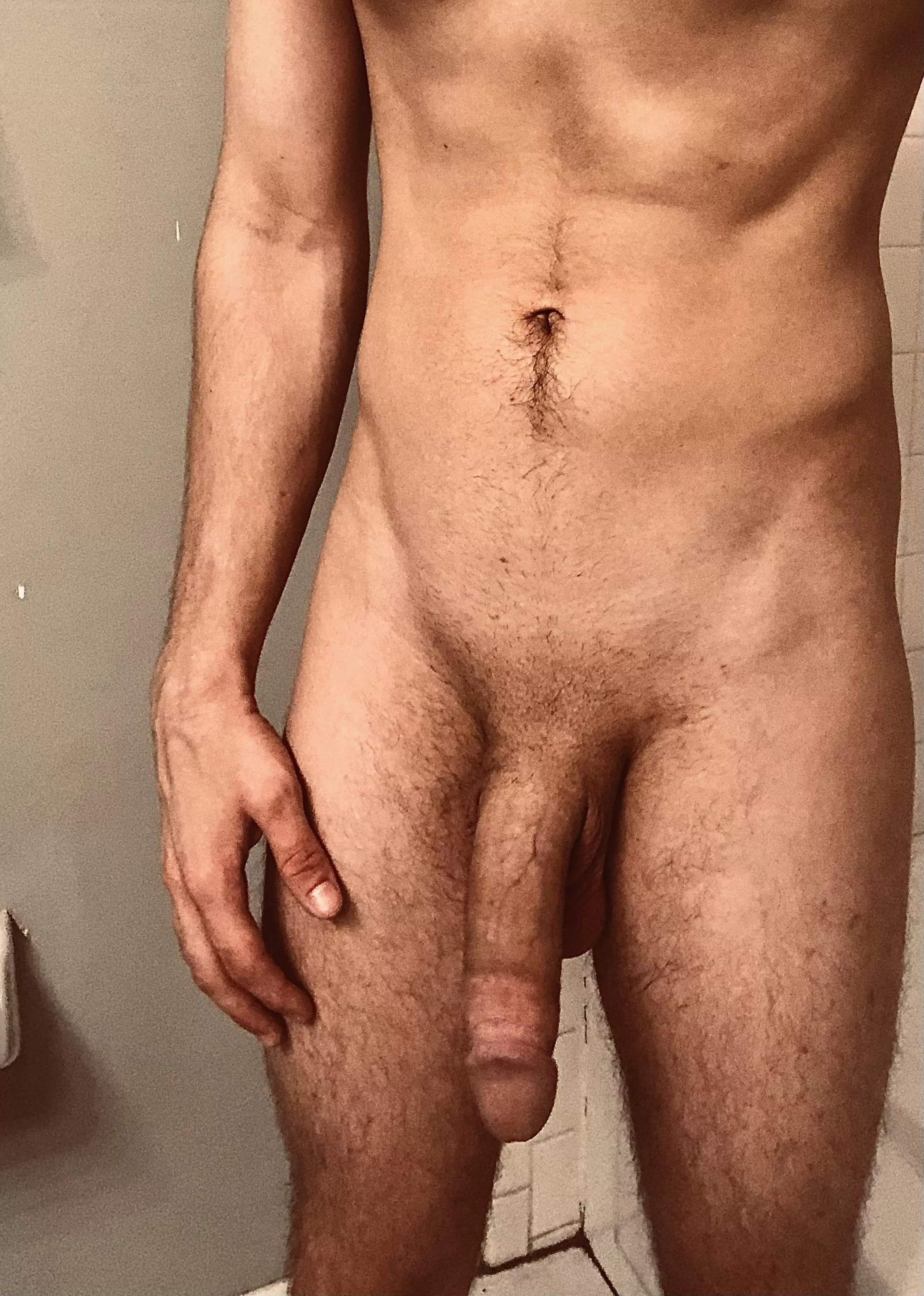 Hung bull looking for cuck couple in Maryland posted by Toros561