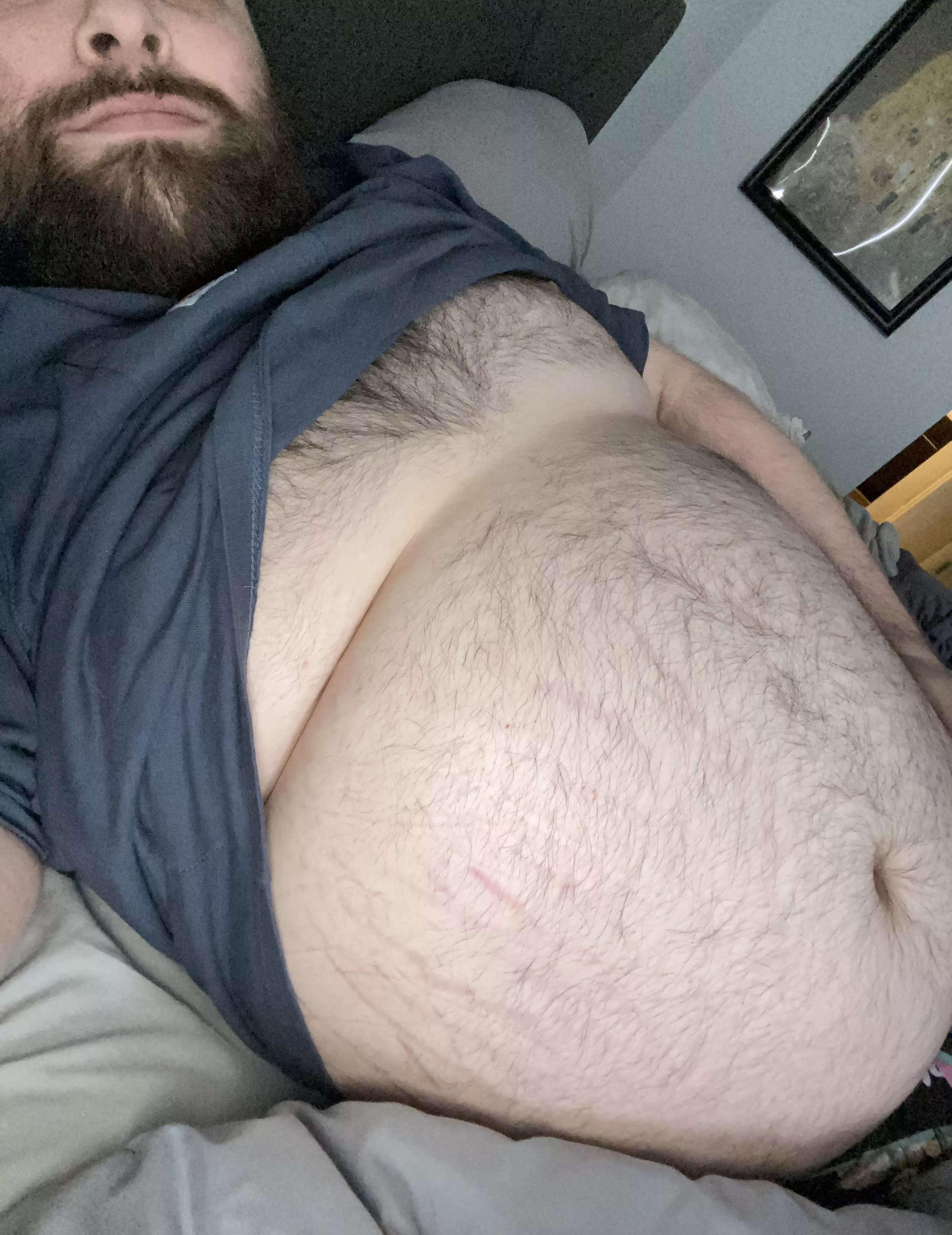 Hungover and in need of some belly rubs 😅 posted by alphabeardom