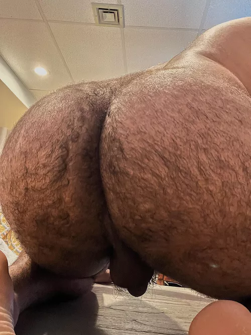 Hungry for alpha cock by aubrybraccos