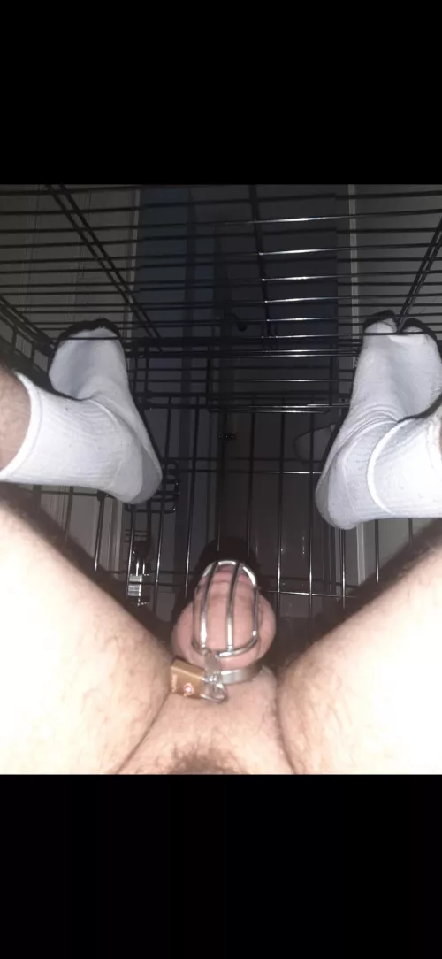 I [24] [M] have been locked in chastity in a dog cage for 3 days so far. AMA by Inevitable_Turn_7039