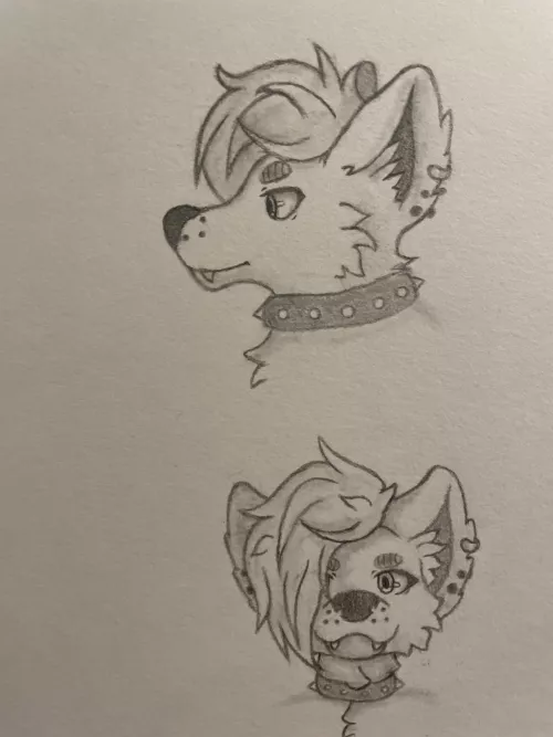 I added shading to the original and drew the front perspective by Weebzee2005