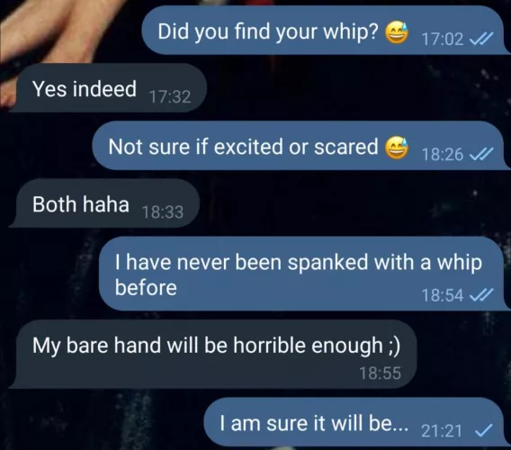 I am super excited, but how does a whip feel like? Can someone tell me please 😅 by Kittenbun92