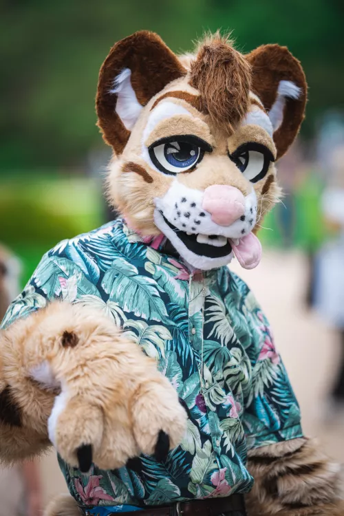 I am tired and gay. Happy fursuit friday! (Photo by @PjezBartor on Twitter) by Dreeewno