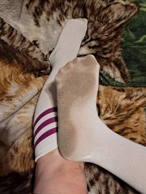 I bet you can smell these bad boys through your screen! by SockStinkQueen