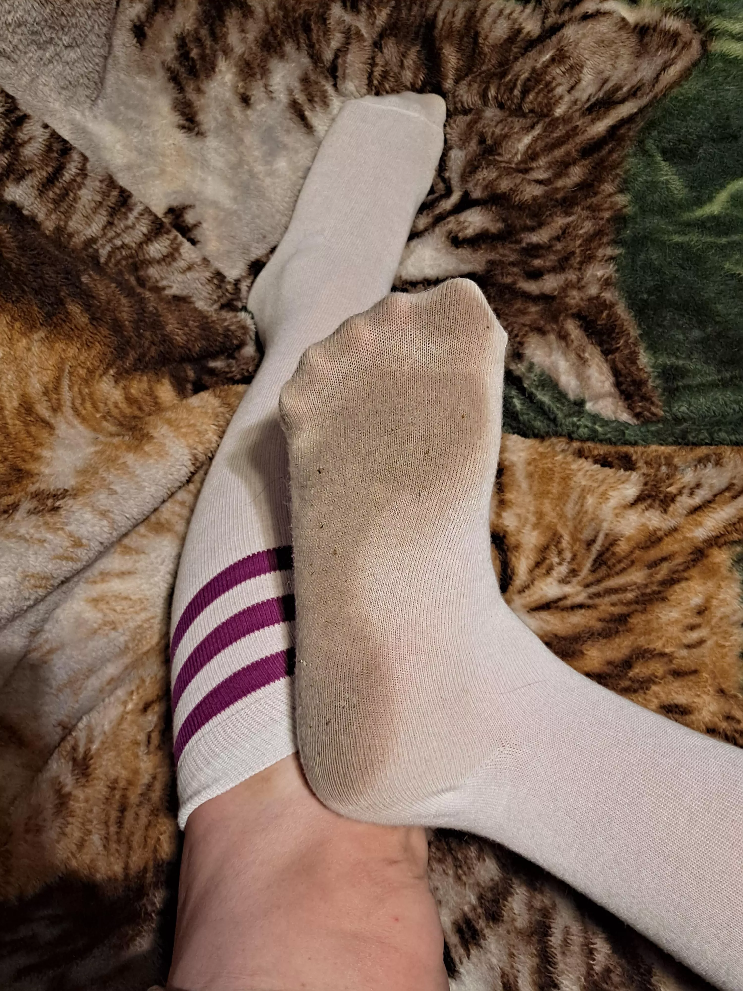 I bet you can smell these bad boys through your screen! posted by SockStinkQueen