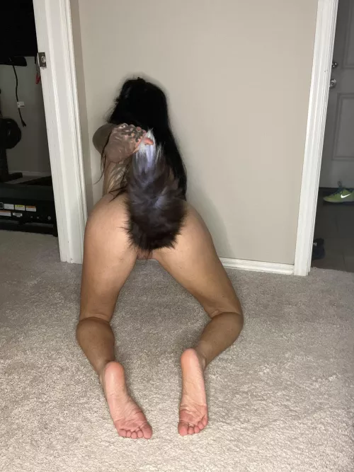 I bet you want to pull it out!! by Cealliagh