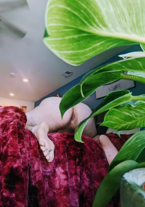 I bloom for you ;) by HairyCinnaBunny