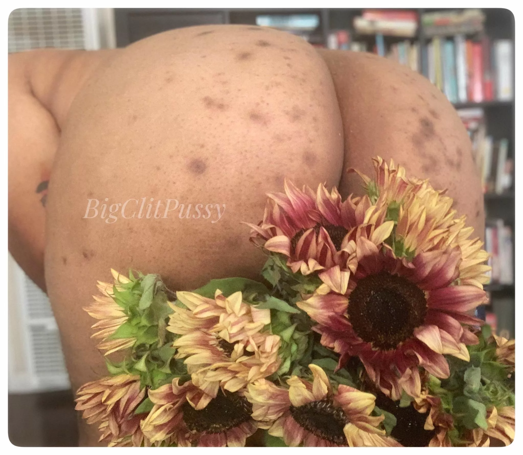 I brought booty & hkw can you resist posted by earthyhellish